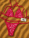Society's Favorite Swimsuit