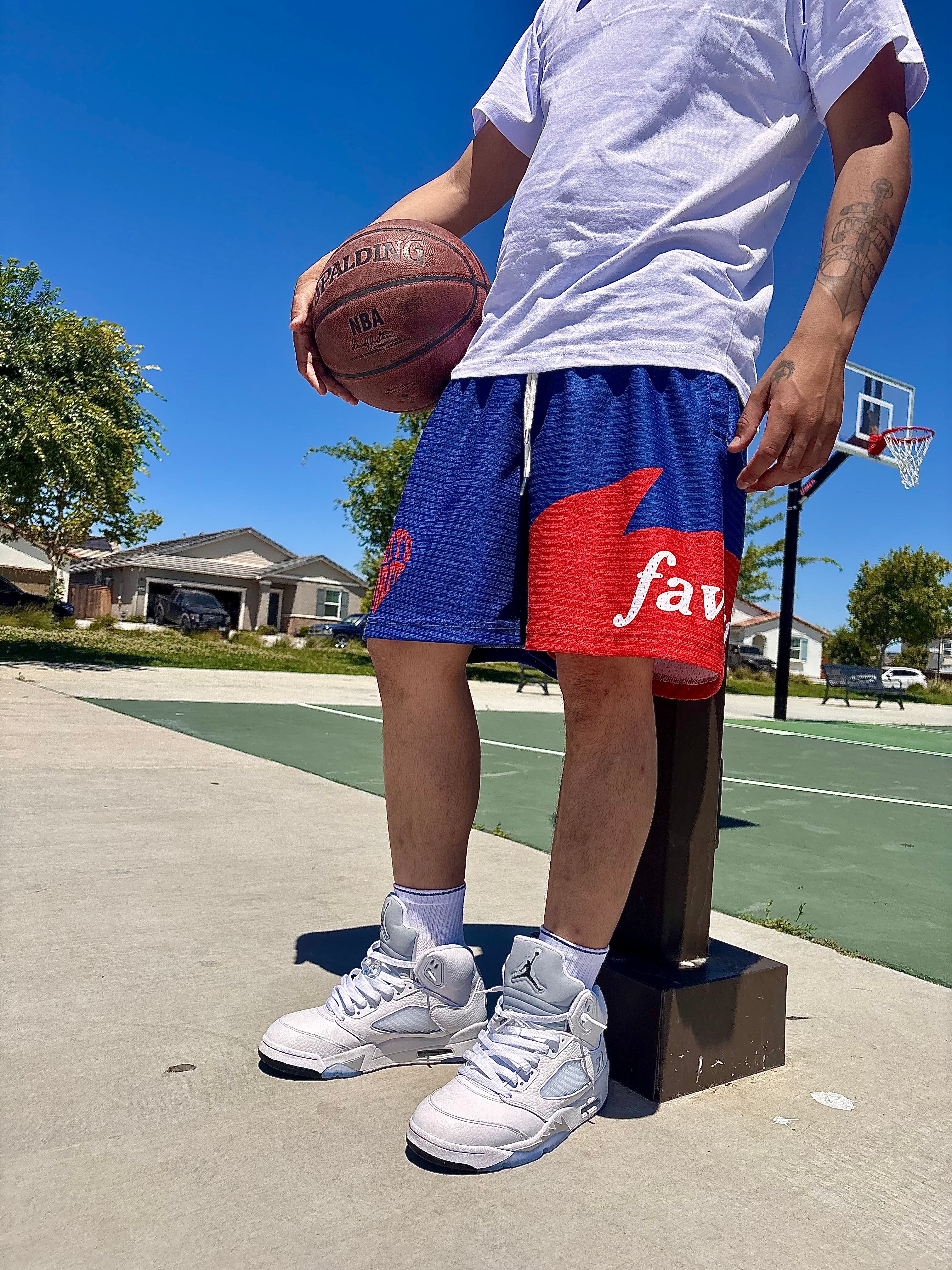 Society's Favorite Mesh Shorts